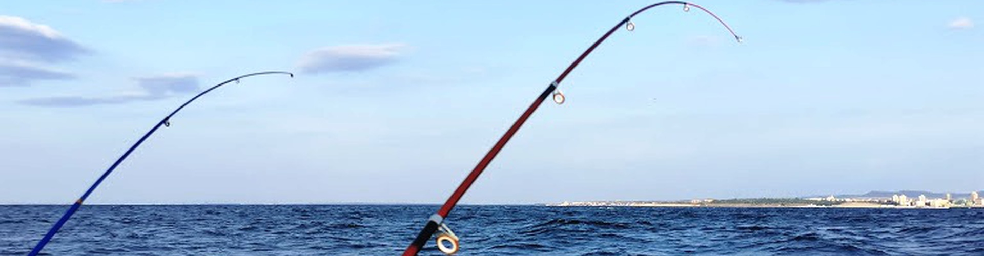 Fishing Trip